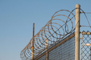 Concertina_wire 1